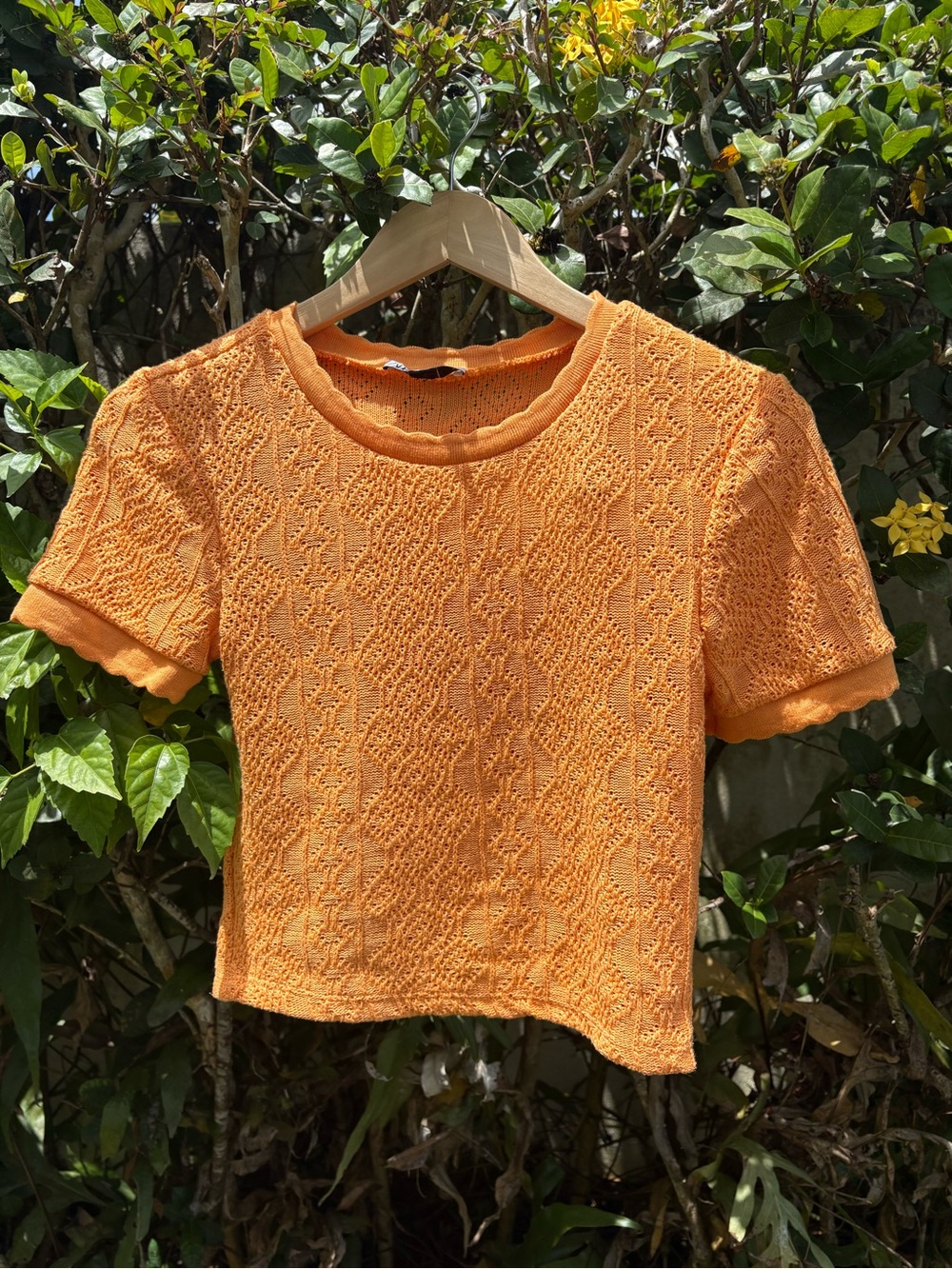 Zara Orange Textured Knit Cropped Tee